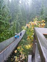 Capilano Suspension Bridge &ndash; &copy; Anne Sturm (Eberhardt TRAVEL)