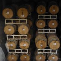 Nk`mip Weingut &ndash; &copy; Kerstin Hugel (Eberhardt TRAVEL)