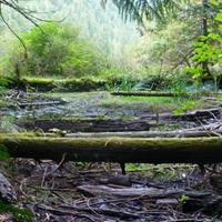 Cathedral Trail &ndash; &copy; Kerstin Hugel (Eberhardt TRAVEL)