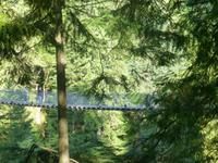 Capilano Suspension Bridge  &ndash; &copy; Kerstin Hugel (Eberhardt TRAVEL)