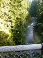 Capilano Suspension Bridge Park &ndash; &copy; Kerstin Hugel (Eberhardt TRAVEL)