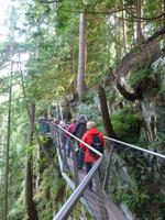 Capilano Suspension Bridge Park &ndash; &copy; Kerstin Hugel (Eberhardt TRAVEL)