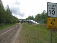 Trans-Alaska Pipeline bei Fairbanks &ndash; &copy; Stefanie Knisse (Eberhardt TRAVEL)