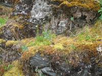 Mendenhall-Gletscher Visitor Information &ndash; &copy; Stefanie Knisse (Eberhardt TRAVEL)