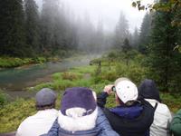 schon wieder ein Schwarzbaer &ndash; &copy; Elisabeth Fox-Maerki (Eberhardt TRAVEL)
