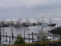 Port Hardy  &ndash; &copy; Elisabeth Fox-Maerki (Eberhardt TRAVEL)