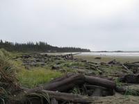 Tofino &ndash; &copy; Christina Schwarz (Eberhardt TRAVEL)