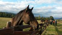 Clearwater Ranch &ndash; &copy; Christina Schwarz (Eberhardt TRAVEL)