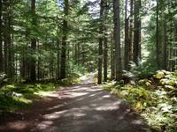 Wanderweg &ndash; &copy; Elisabeth Fox-Maerki (Eberhardt TRAVEL)