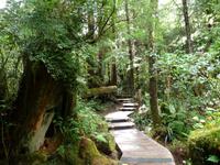 DER WEG &ndash; &copy; Elisabeth Fox-Maerki (Eberhardt TRAVEL)