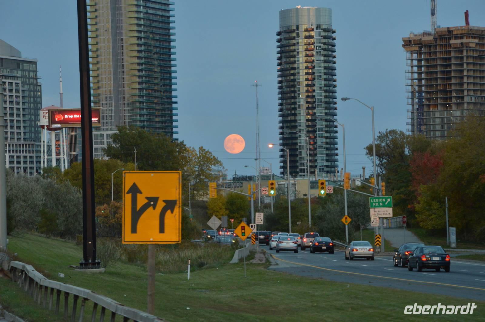 toronto1 &ndash; &copy; Hubert Lücker (Eberhardt TRAVEL)