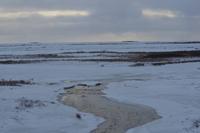 tundra1 &ndash; &copy; Hubert Lücker (Eberhardt TRAVEL)