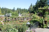 Butchart Garden &ndash; &copy; Jacob Spangenberg (Eberhardt TRAVEL)