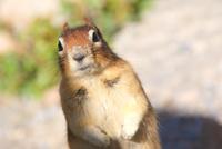 und wer bist du?  &ndash; &copy; Susanne Schirmann (Eberhardt TRAVEL)