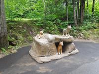 062 Sainte-Anne Canyon &ndash; &copy; Stefanie Schneider (Eberhardt TRAVEL)
