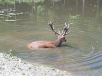 103 Omega Wildlife Park &ndash; &copy; Stefanie Schneider (Eberhardt TRAVEL)