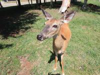 113 Omega Wildlife Park &ndash; &copy; Stefanie Schneider (Eberhardt TRAVEL)