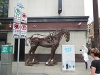 237 Calgary &ndash; &copy; Stefanie Schneider (Eberhardt TRAVEL)