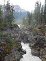 344 Athabasca Wasserfälle &ndash; &copy; Stefanie Schneider (Eberhardt TRAVEL)