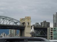 384 Granville Island &ndash; &copy; Stefanie Schneider (Eberhardt TRAVEL)