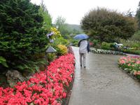 428 Butchart Gardens &ndash; &copy; Stefanie Schneider (Eberhardt TRAVEL)