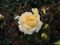 439 Butchart Gardens &ndash; &copy; Stefanie Schneider (Eberhardt TRAVEL)