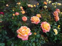 Der Rosengarten &ndash; &copy; Elisabeth Fox-Maerki (Eberhardt TRAVEL)