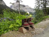 Am Emerald Lake &ndash; &copy; Elisabeth Fox-Maerki (Eberhardt TRAVEL)