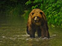 Das wollten wir sehen ! hier ein Bild vom Bild ! &ndash; &copy; Elisabeth Fox-Maerki (Eberhardt TRAVEL)