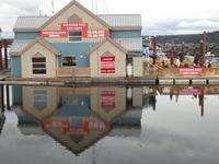 in Campbell River &ndash; &copy; Elisabeth Fox-Maerki (Eberhardt TRAVEL)