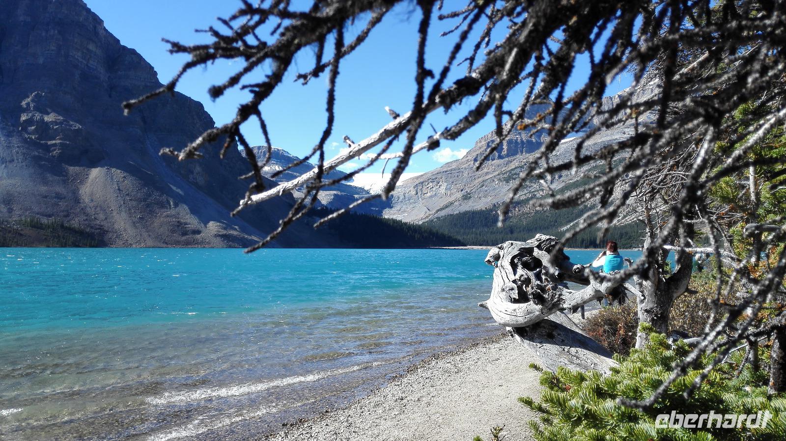 Bow Lake &ndash; &copy; Vanessa van Dam (Eberhardt TRAVEL)