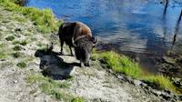 Omega Wildlife Park &ndash; &copy; Vanessa van Dam (Eberhardt TRAVEL)