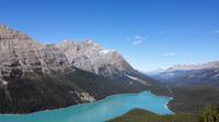 Peyto Lake &ndash; &copy; Vanessa van Dam (Eberhardt TRAVEL)