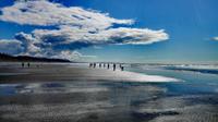 Pazifik-Strand &ndash; &copy; Vanessa van Dam (Eberhardt TRAVEL)