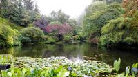 Butchers Garden &ndash; &copy; Vanessa van Dam (Eberhardt TRAVEL)