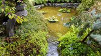 Butchers Garden &ndash; &copy; Vanessa van Dam (Eberhardt TRAVEL)