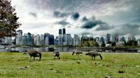 Vancouver &ndash; &copy; Vanessa van Dam (Eberhardt TRAVEL)