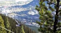 Banff &ndash; &copy; Elisabeth Fox-Maerki (Eberhardt TRAVEL)