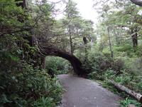 Wild Pacific Trail