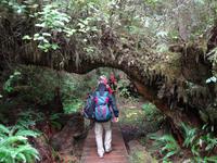 untendurch und obendrueber &ndash; &copy; Elisabeth Fox-Maerki (Eberhardt TRAVEL)