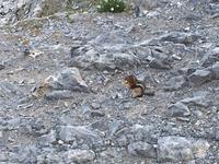 Mmmm lecker &ndash; &copy; Elisabeth Fox-Maerki (Eberhardt TRAVEL)