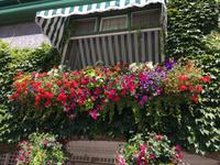 beim italiensichen Garten  &ndash; &copy; Elisabeth Fox-Maerki (Eberhardt TRAVEL)