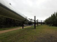 Pipeline &ndash; &copy; Sabine Letzybyll (Eberhardt TRAVEL)