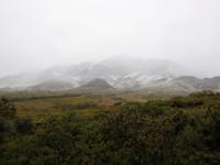 Denali Nationalpark &ndash; &copy; Sabine Letzybyll (Eberhardt TRAVEL)