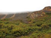 Denali Nationalpark &ndash; &copy; Sabine Letzybyll (Eberhardt TRAVEL)