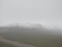 Denali Nationalpark &ndash; &copy; Sabine Letzybyll (Eberhardt TRAVEL)