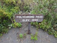 Denali Nationalpark &ndash; &copy; Sabine Letzybyll (Eberhardt TRAVEL)