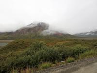 Denali Nationalpark &ndash; &copy; Sabine Letzybyll (Eberhardt TRAVEL)