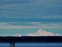 .Denali &ndash; &copy; Sabine Letzybyll (Eberhardt TRAVEL)