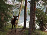 Tschuldigung wo gehts denn hier lang ?  &ndash; &copy; Elisabeth Fox-Maerki (Eberhardt TRAVEL)